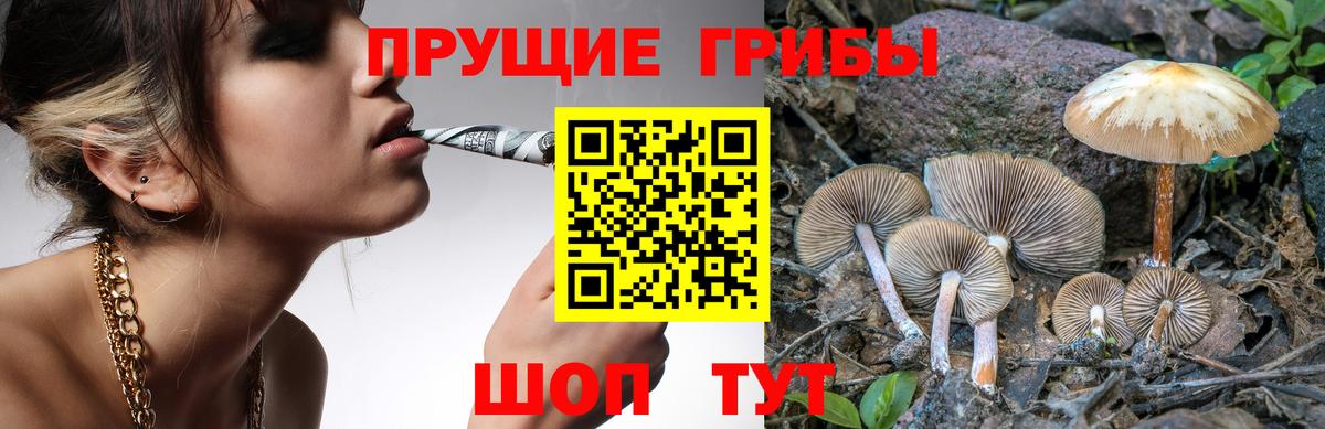Галлюциногенные грибы прущие грибы  Галлюциногенные грибы Magic Shrooms  Кемерово  Вход с VPN 